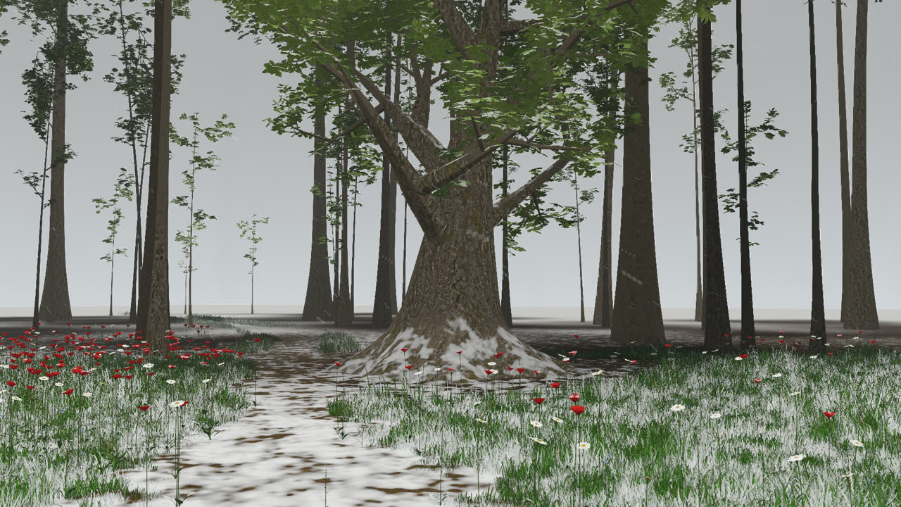 Snow settled on the path, grass and roots at the foot of an oak, poppies still standing
