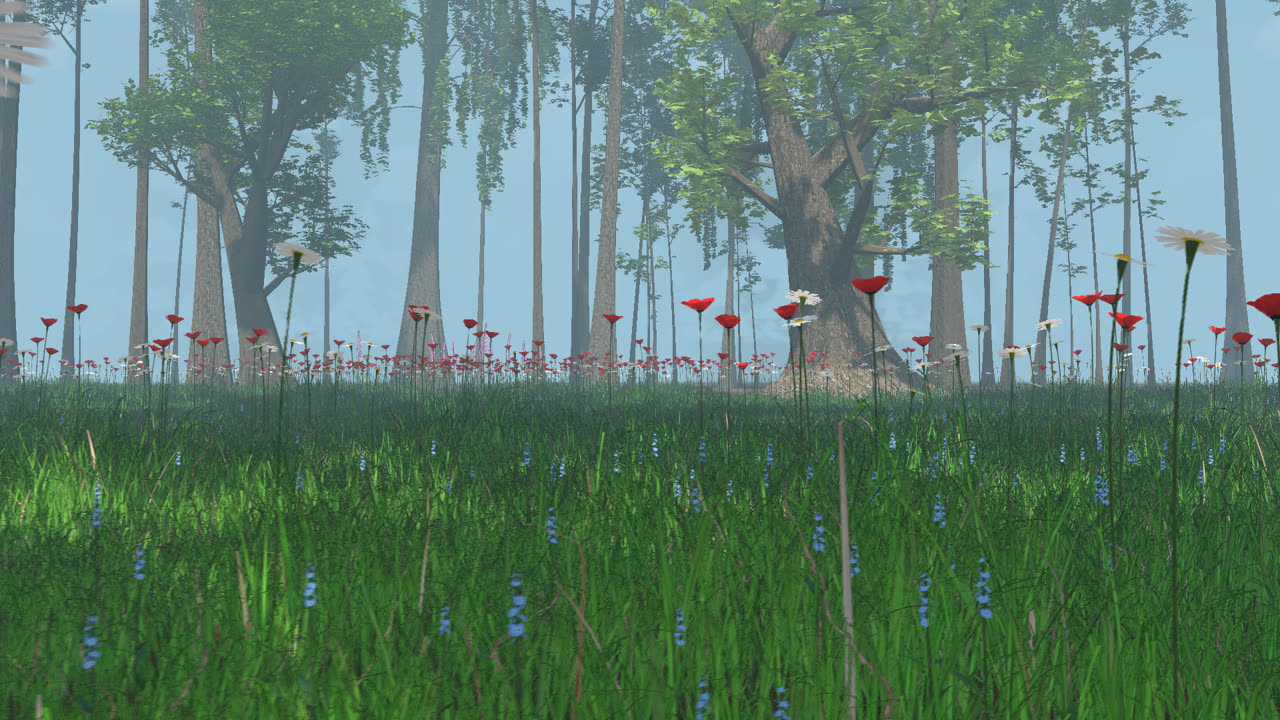 Low through a summer meadow of poppies, daisies and bluebells, with an oak and maple wood behind, in AuToken's own 3D engine